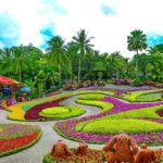nong-nooch-tropical-garden3